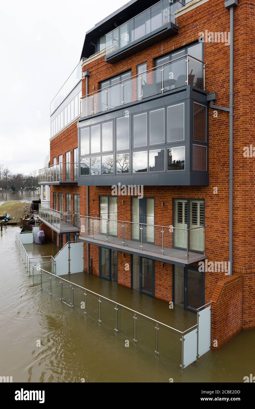 Überflutete Grundstücke am Ufer der Themse in Windsor, nachdem die Themse ihre Ufer platzte. Windsor, Berkshire, Großbritannien. Februar 2014, 10 Stockfoto