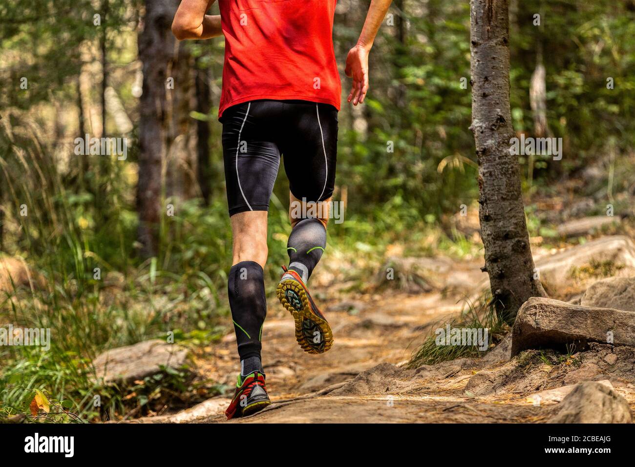Zurück Mann Läufer in Kompressionssocken laufen Waldsteine Trail Stockfoto