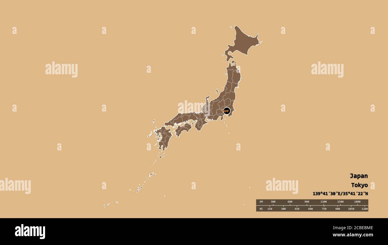 Entsättigte Form von Japan mit seiner Hauptstadt, Hauptregionalteilung und dem abgetrennten Tokyo-Gebiet. Beschriftungen. Komposition von gemusterten Texturen. 3D-Rendering Stockfoto