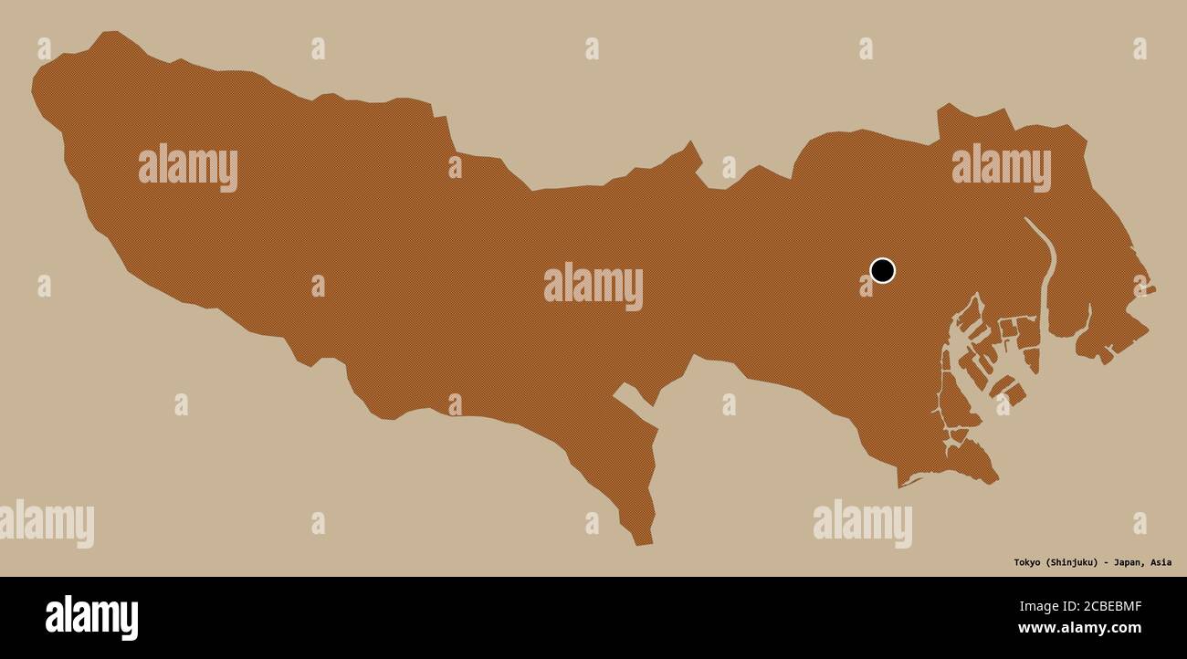 Form von Tokio, Metropole von Japan, mit seiner Hauptstadt isoliert auf einem einfarbigen Hintergrund. Komposition von gemusterten Texturen. 3D-Rendering Stockfoto