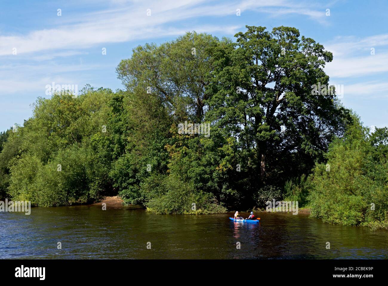 Kanu auf dem Fluss Ouse in Bishopthorpe, North Yorkshire, England Stockfoto