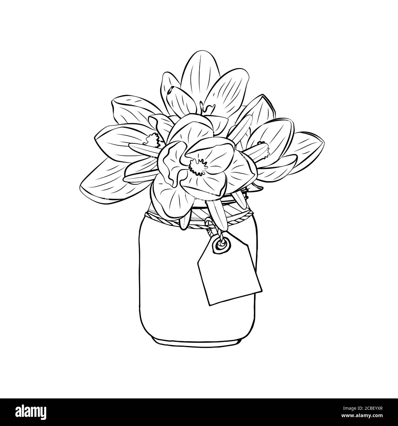 Hand gezeichnet monochromen Krokus Blumen in Einmachglas Cliparts. Element im floralen Dessin. Isoliert auf weißem Hintergrund. Vektor Stock Vektor