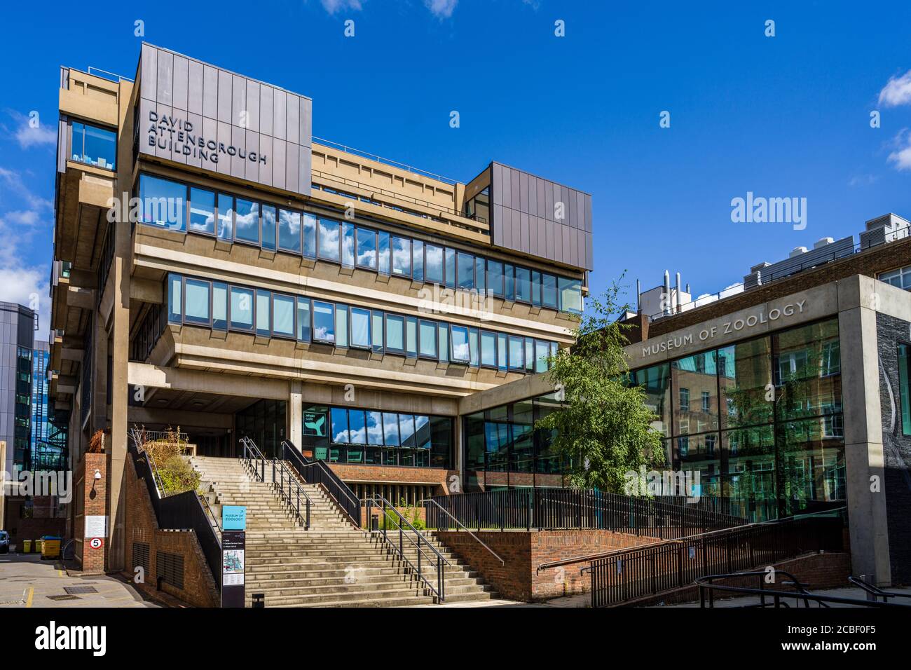 Cambridge University Museum für Zoologie - wiedereröffnet Jun 2018 nach 4 Jahr renoviert werden. Hauptgebäude ist die renovierte David Attenborough Gebäude. Stockfoto