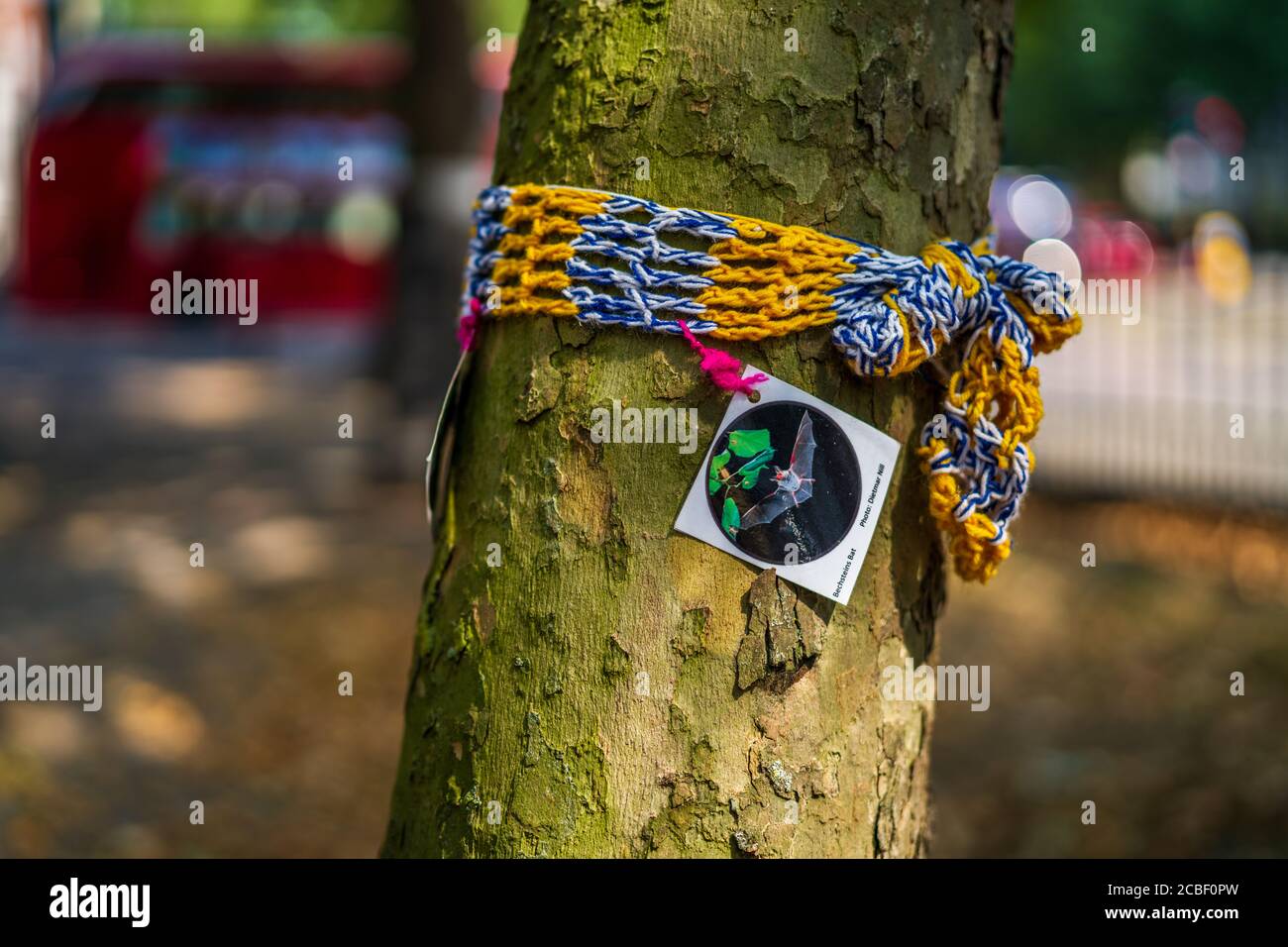 HS2 Proteste Euston Station London - Tree Felling Proteste, gegen die Entfernung von Bäumen als Teil des HS2-Systems in Euston Gardens London. Stockfoto