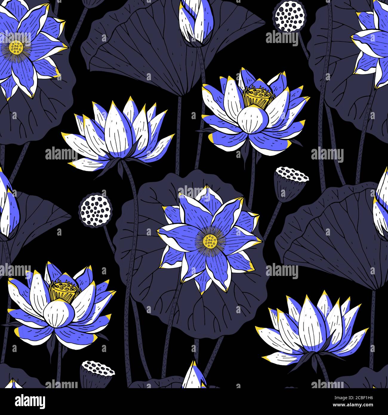 Nahtloses Blumenmuster mit blauen Lotusblumen auf schwarzem Hintergrund. Stock-Vektor Stock Vektor