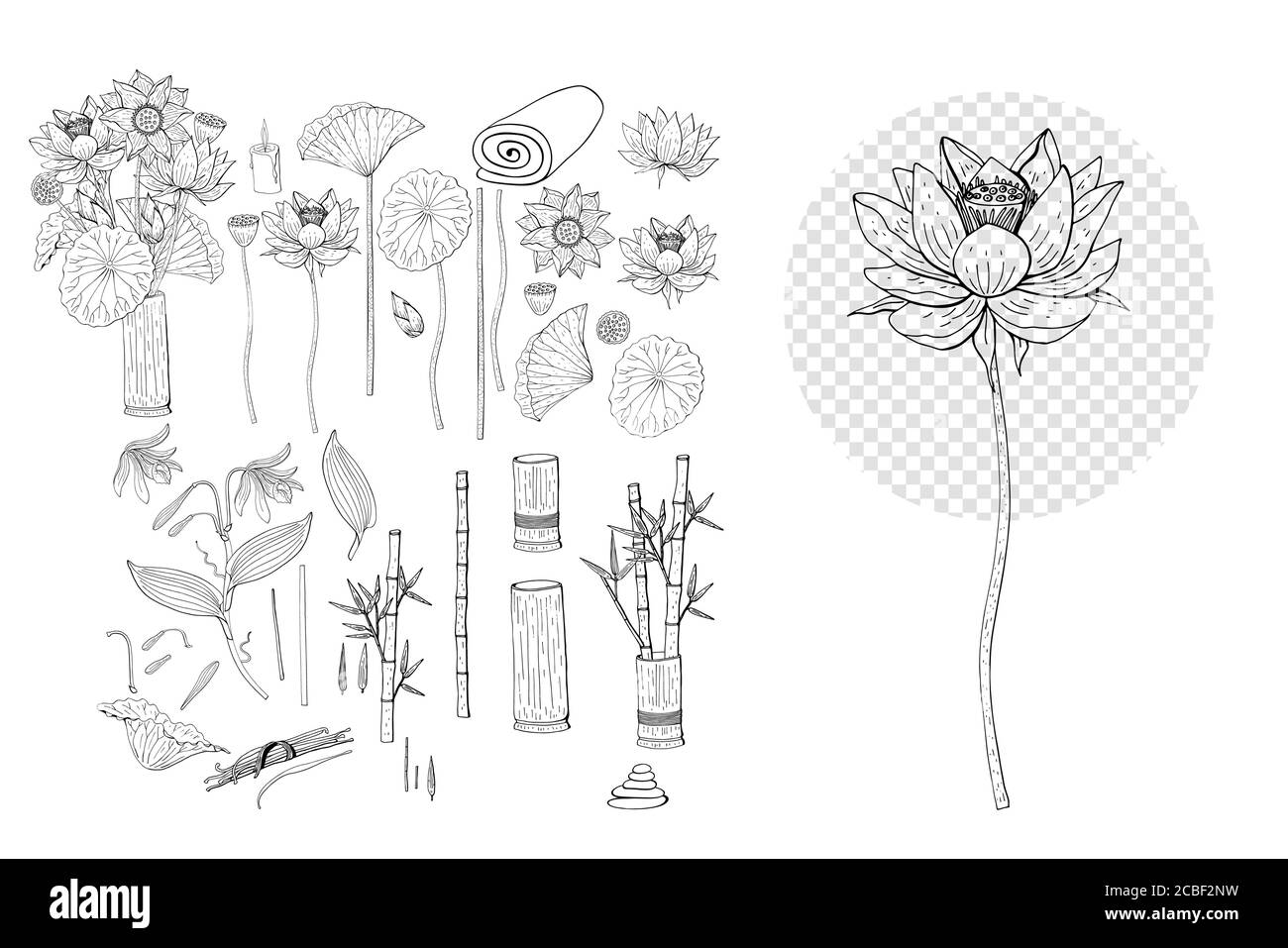 Handgezeichnete Sammlung von Lotus und Vanille Blumen Cliparts. Florale Dessin-Elemente. Isoliert auf weißem Hintergrund. Vektor Stock Vektor