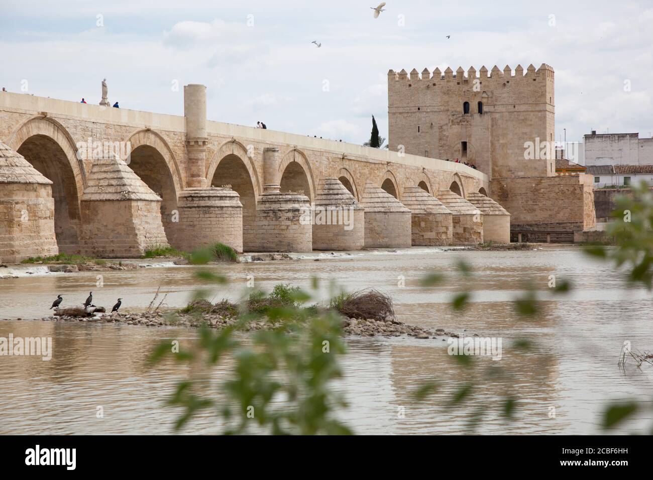 Die alte römische Brücke in Cordoba vom Ufer aus gesehen Mit Vögeln Angeln und Fliegen Stockfoto