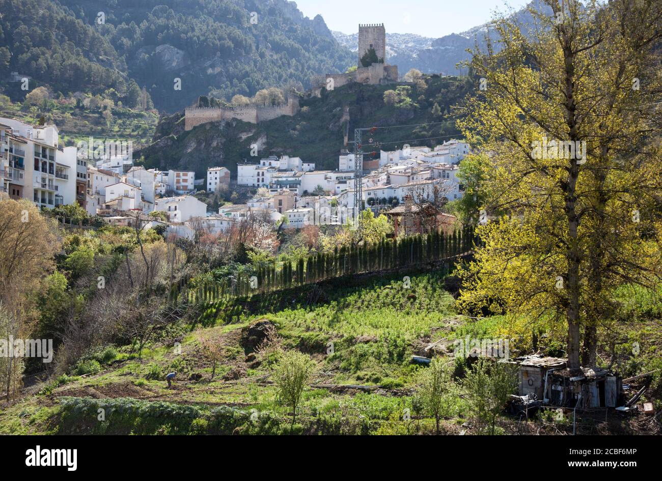 Das Castillo de la Yedra blickt auf die Stadt Cazorla in Spanien mit ihren weiß getünchten Häusern und der bergigen Kulisse. Stockfoto