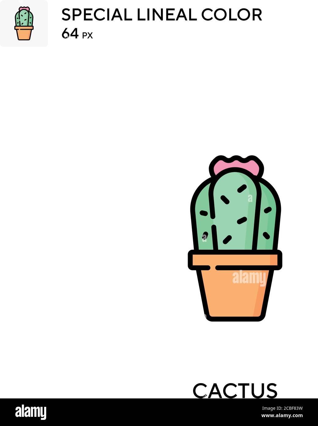kaktus for friends bestellen San Pedro Cactus