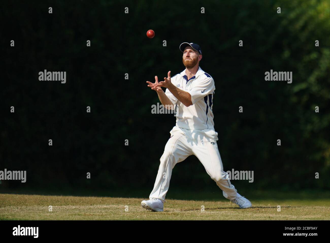 Cricket-Spieler fangen Cricket-Ball Stockfoto