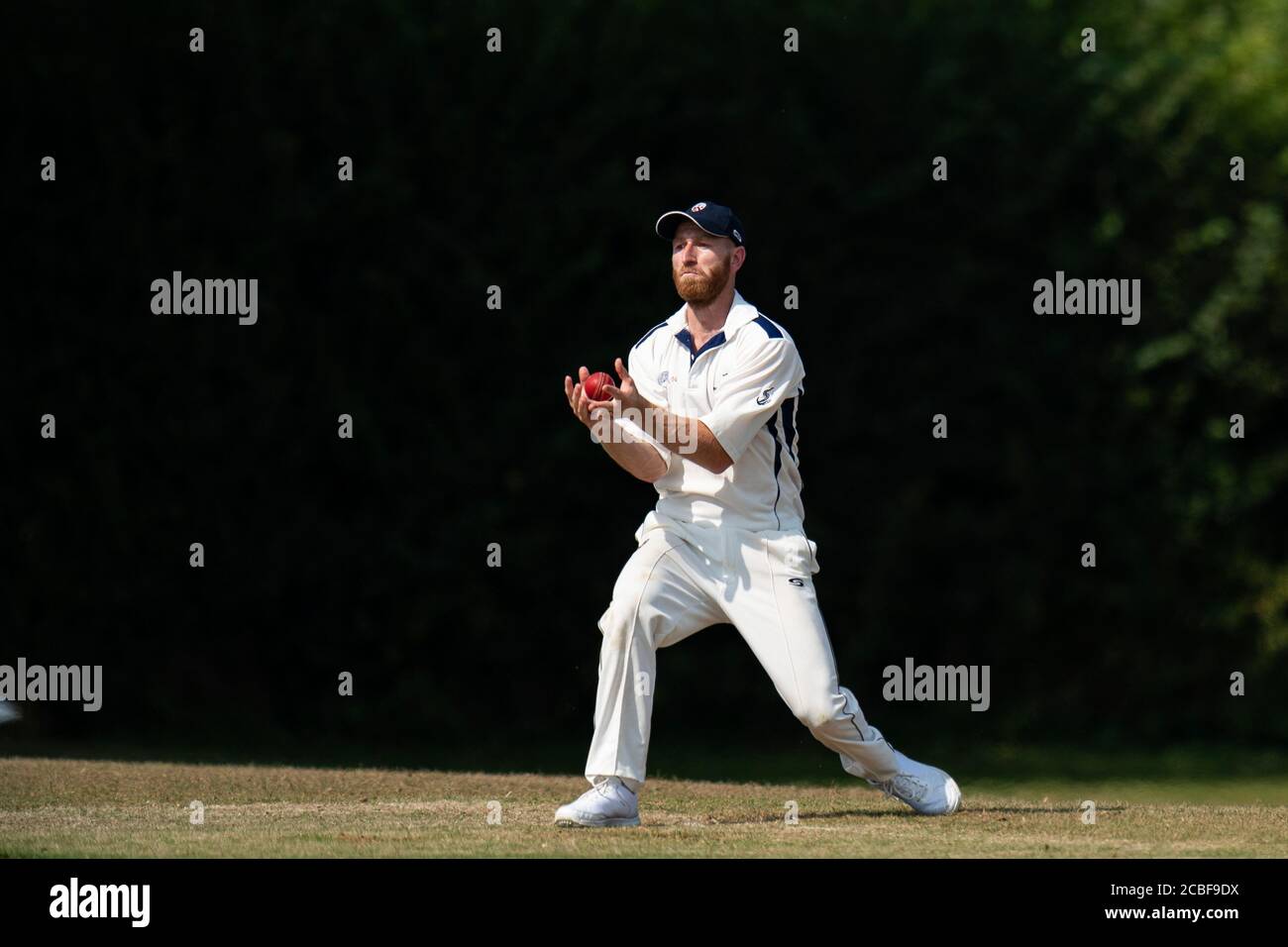 Cricket-Spieler fangen Cricket-Ball Stockfoto