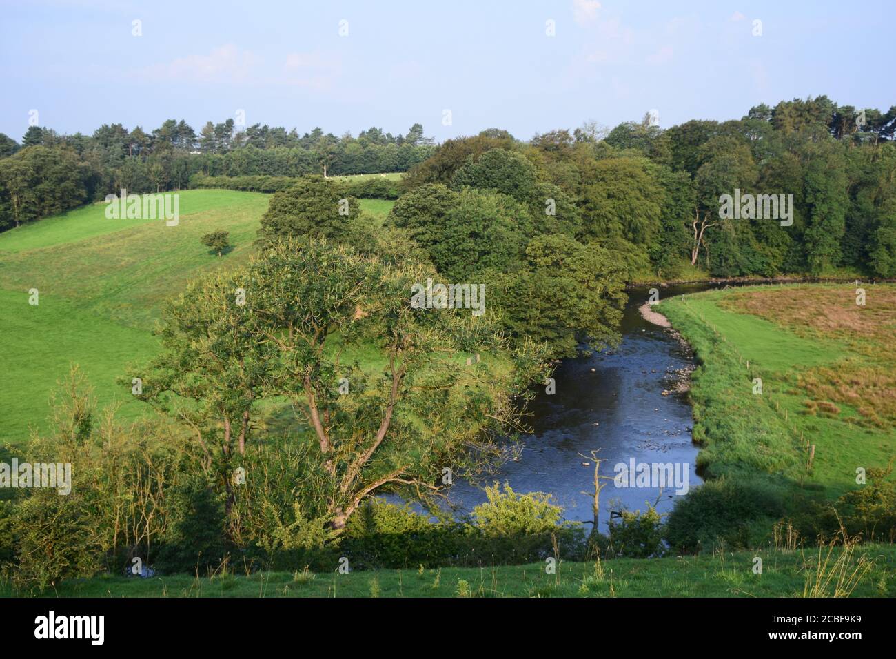 Der Fluss Ribble Tal stromaufwärts von Gisburn Lancashire in gesetzt Schöne hügelige Landschaft Stockfoto