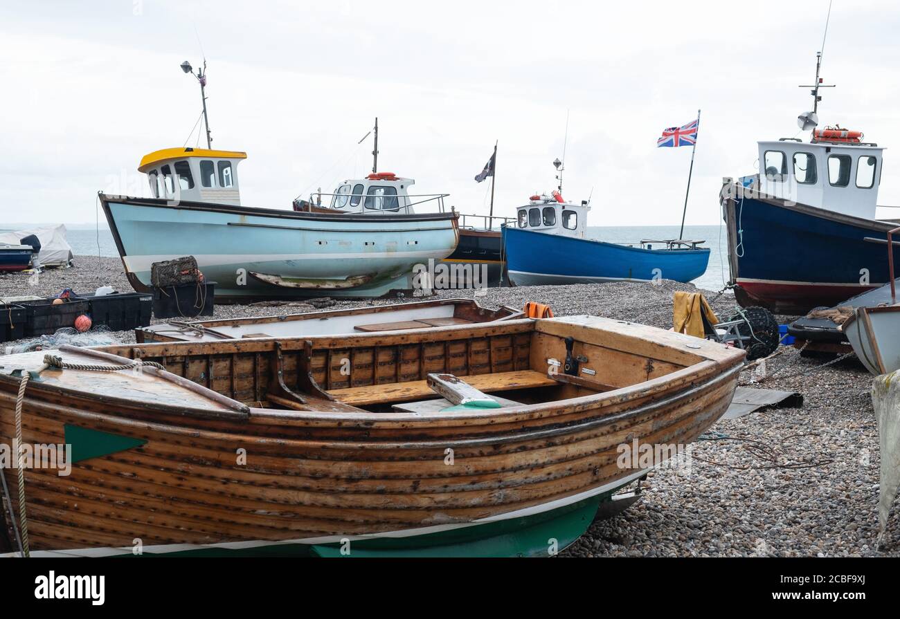 Ein Teil der lokalen Fischereiflotte strandete am Kiesstrand von Beer im Südosten von Devon, Großbritannien. Die Schiffe werden mit dem Traktor zum und vom Meer geschleppt Stockfoto