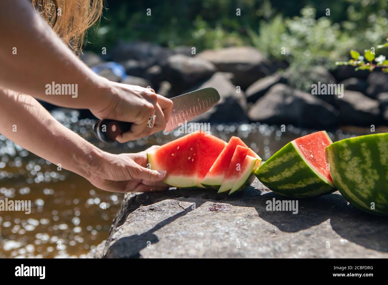 Von hinten aus Frauenhände geschossen, eine saftige, reife Wassermelone in Stücke und Scheiben auf einem Felsen am Bett eines Baches oder Flusses zu schneiden. Stockfoto