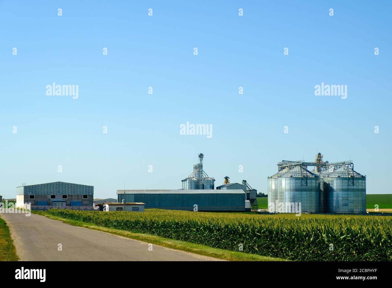 Landwirtschaftliche Silos. Gebäude für die Lagerung und Trocknung von Getreide, Weizen, Mais. Moderner Getreideaufzug. Agrarbusiness-Konzept. Stockfoto
