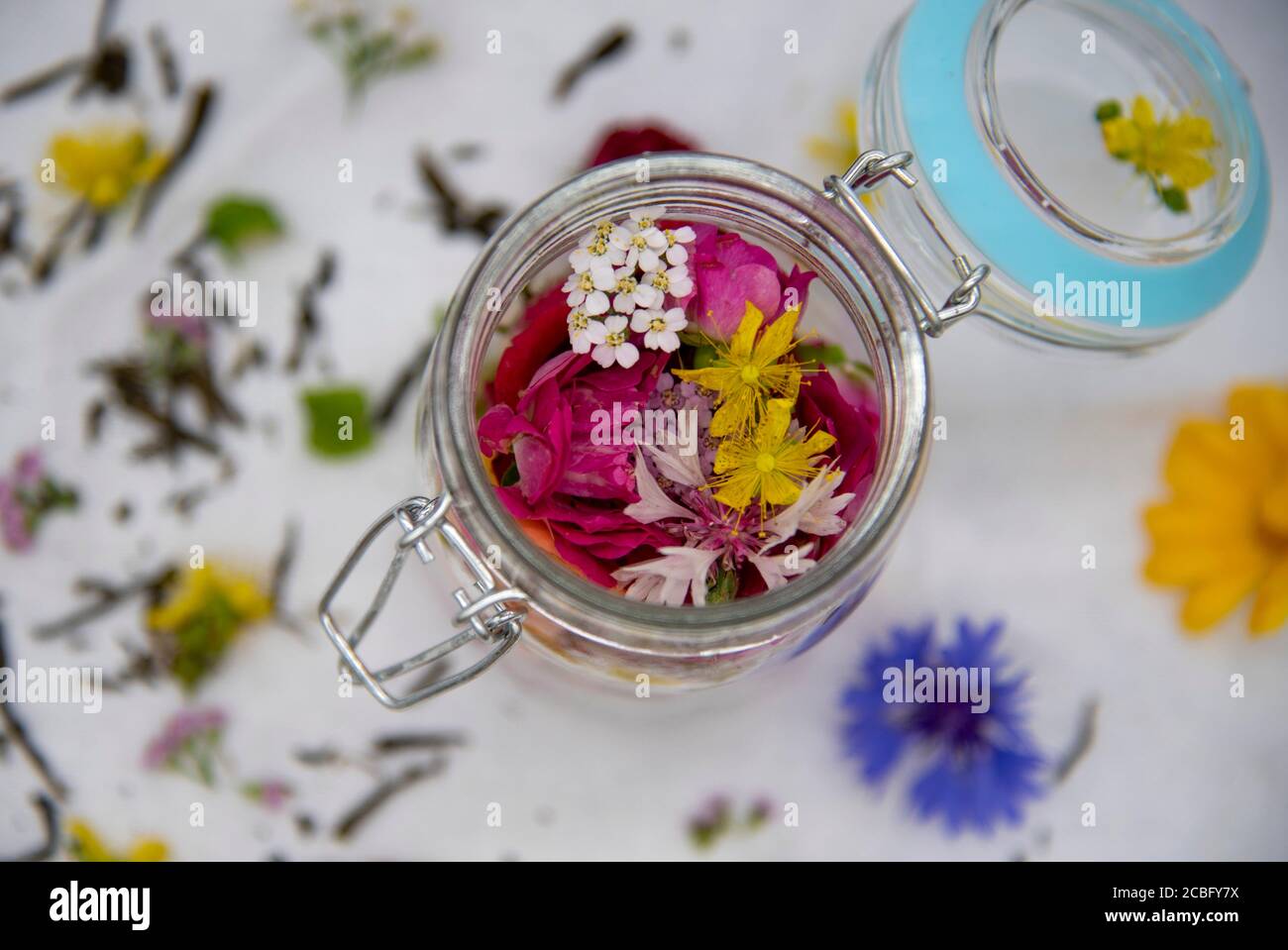 Frische aromatische Heilkräuter in einem Glasbehälter. Stockfoto