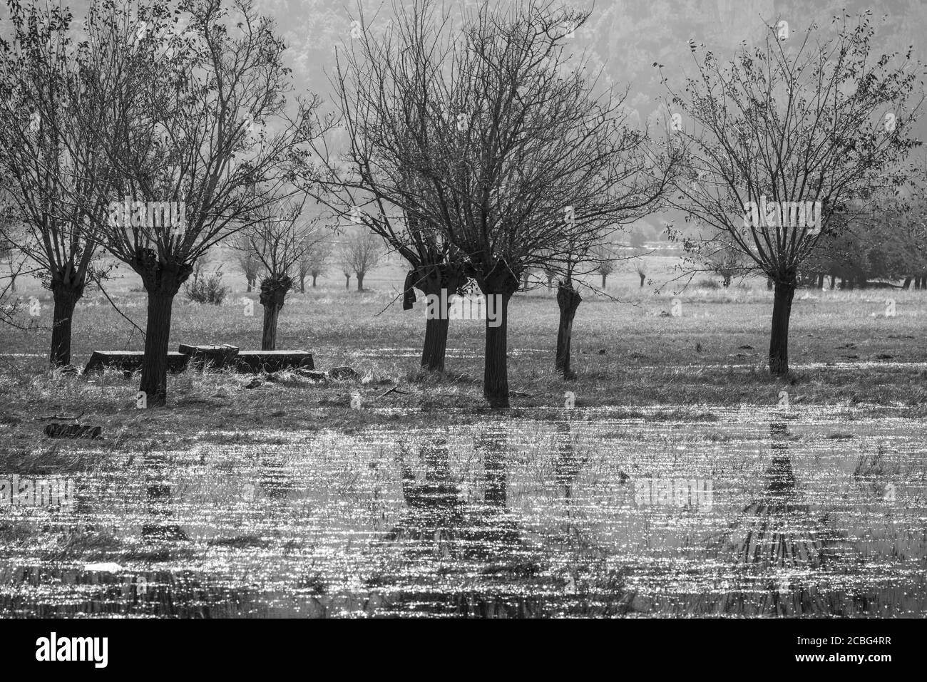 Überflutet, Herbst, Landschaft mit altem Brunnen und Maulbeerbäumen auf den Hochwasserebenen von Mantineia, in der Nähe von Tripoli, Süd-Arkadien, Peloponnes, Greec Stockfoto