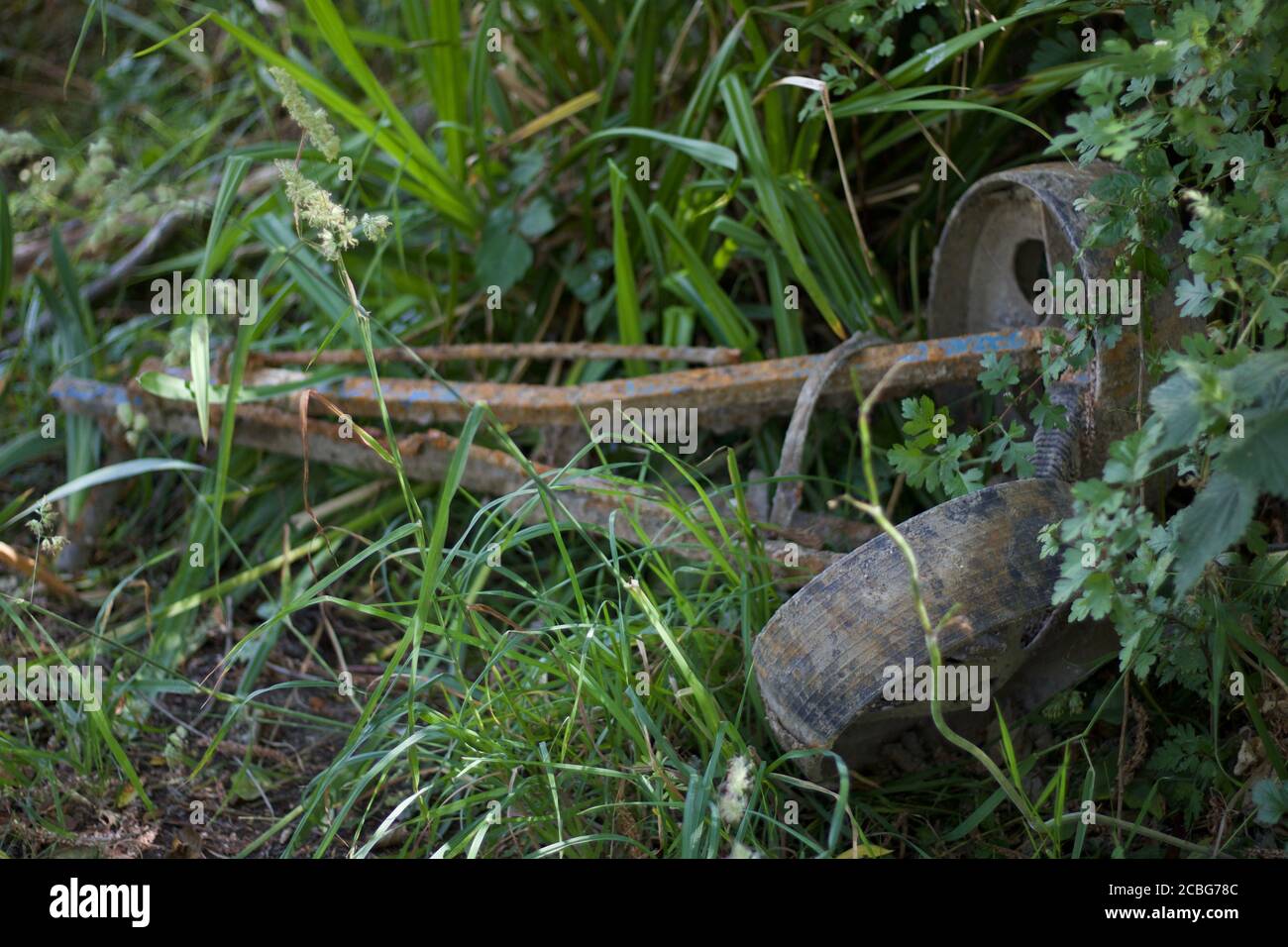 Verrostete alte Gold-Trolley mit Rädern in grasigen Unterholz liegen Stockfoto