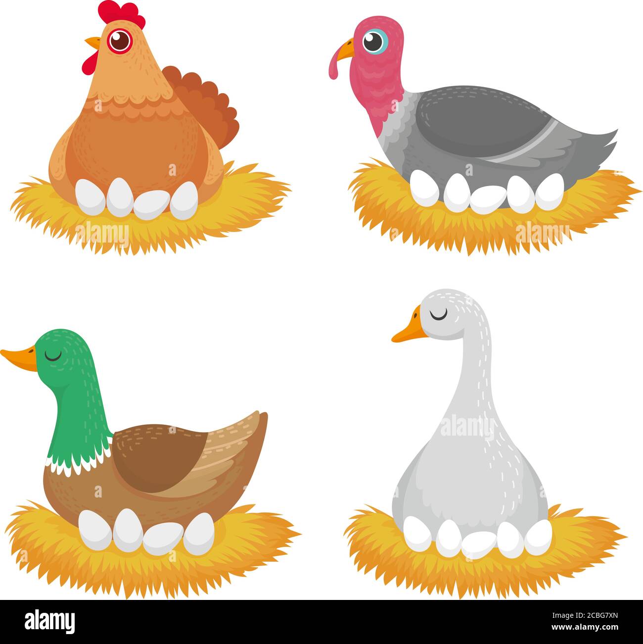 Vögel im Nest mit Eiern. Natur Wildtiere Bio Stock Vektor