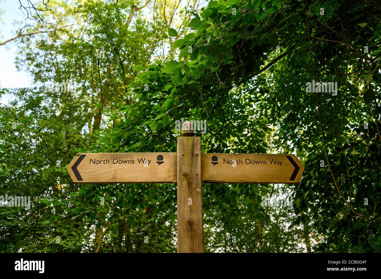 Ein Schild auf dem North Downs Way in der Nähe von Woldingham in Surrey, England, Großbritannien. Die North Downs ist Teil der Surrey Hills Gegend von Outstanding Natural Beauty. Stockfoto