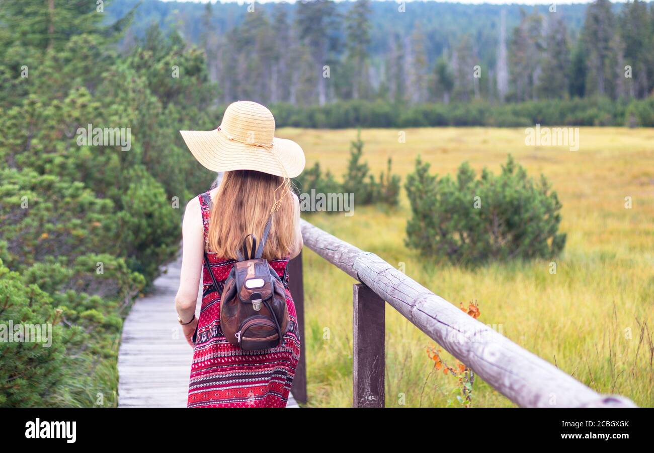 Die junge Frau mit dem langen Haar und dem Strohhut, im Sommerkleid - die Spaziergänge entlang dem hölzernen Bürgersteig auf dem Torfmoor - die Rückansicht Stockfoto