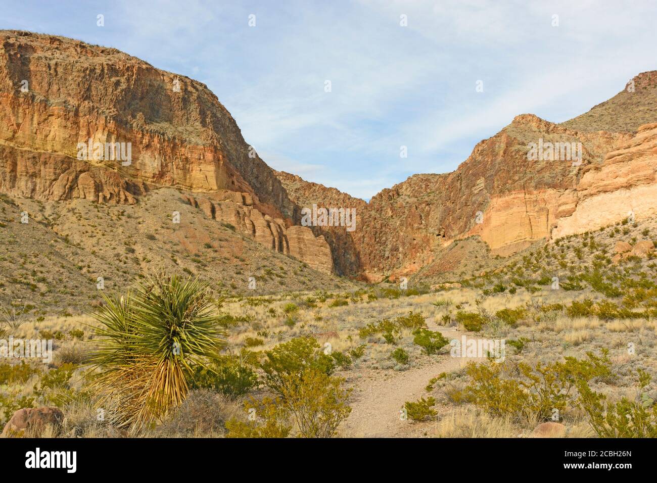 Der Burro Mesa Pour Off Trail in Big Bend National Park in Texas Stockfoto