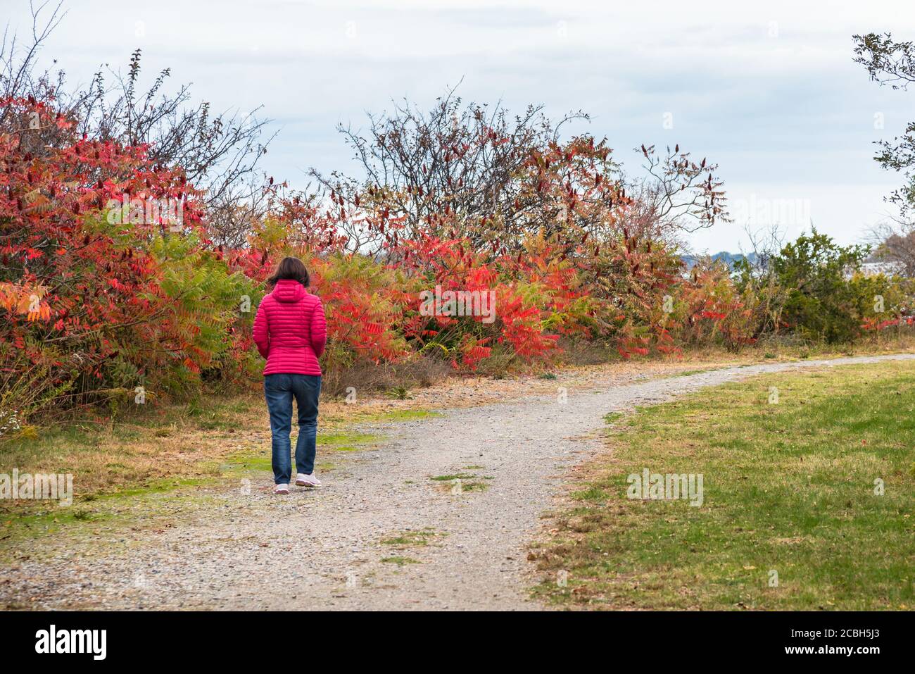 Einsame Frau, die an einem bewölkten Herbsttag auf einem Schotterweg in einem öffentlichen Park spazieren geht. Herbstfarben. Konzept der Einsamkeit. Stockfoto