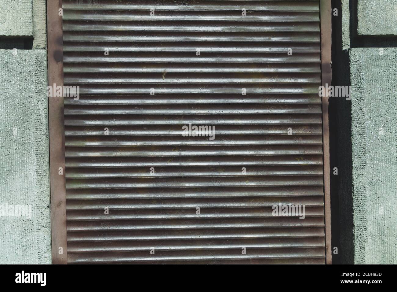 Bantoye Krokodilklemmen Roségold – 24 Stück, 6,9 Cm, Metall-Haarclips Zum Stylen, Färben & Trocknen