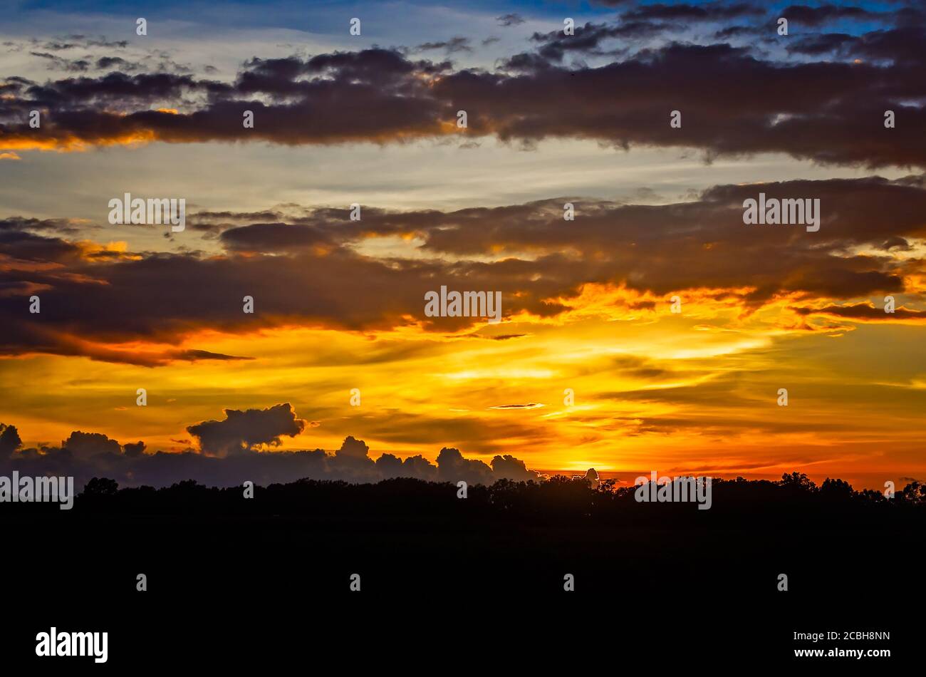 Die Sonne untergeht über einem Feld in Bolivar County im Mississippi Delta, 10. August 2020, in Cleveland, Mississippi. Stockfoto