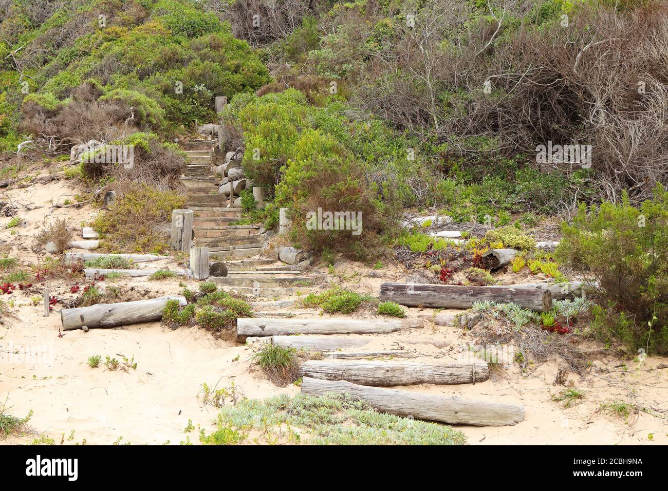 Coastal Beach Wilderness Pathway Treppen Stockfoto