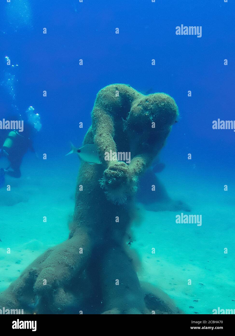 Unterwasserskulptur 'Jardin Hibrido' des Künstlers Jason deCaires Taylor im Museo Atlantico Unterwassermuseum vor Playa Blanca, Spanien. Stockfoto