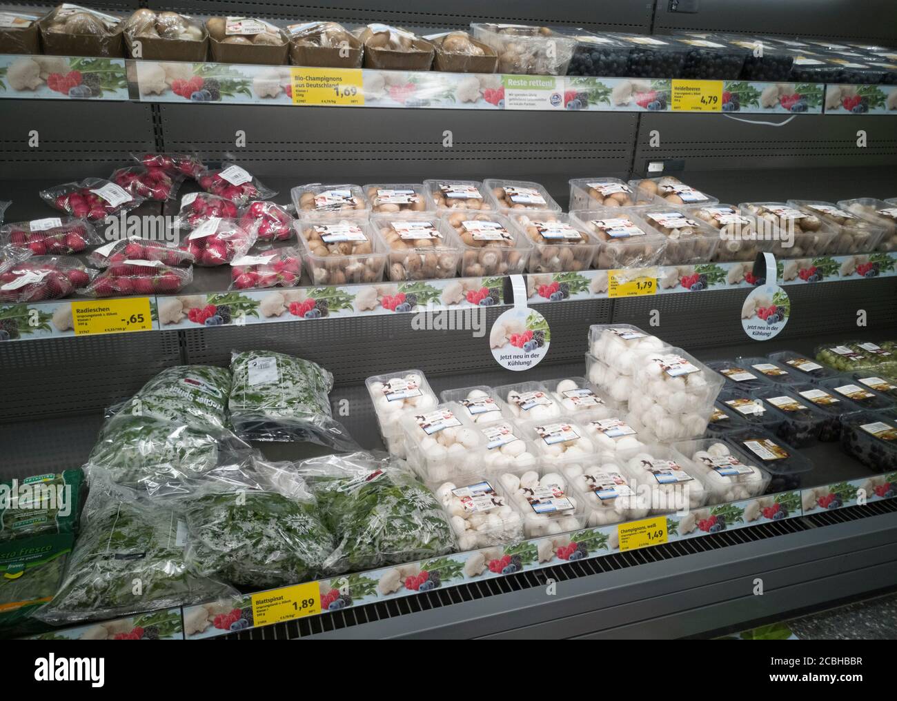 WETZLAR, DEUTSCHLAND - DEZEMBER 18 2019: Gang mit Pilzfutter, Inneneinrichtung eines ALDI VERKLAGT Discounter. Stockfoto