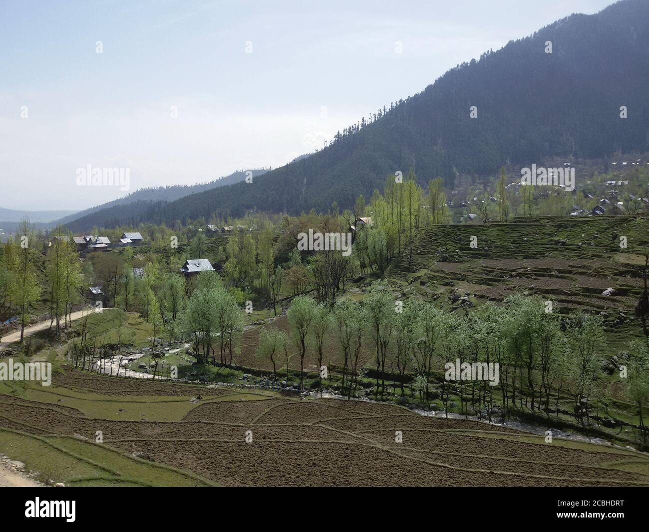 Gebäude und Konstruktionen. Landschaft grüne Schönheit Reisfelder, Natur Landschaftsbau. Pflanzen Grünland sieht schön Sommer und Frühling Zeit. Stockfoto