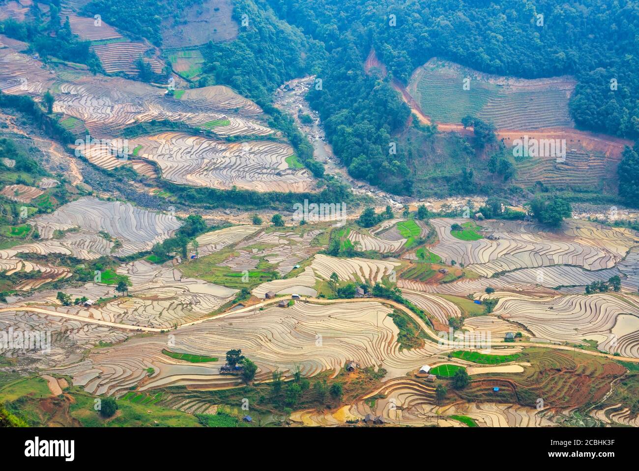 Schöne terrassenförmige Reisfeld in Wasser ziehen Saison in Y Ty, bat Xat, Lao cai Provinz in Vietnam Stockfoto