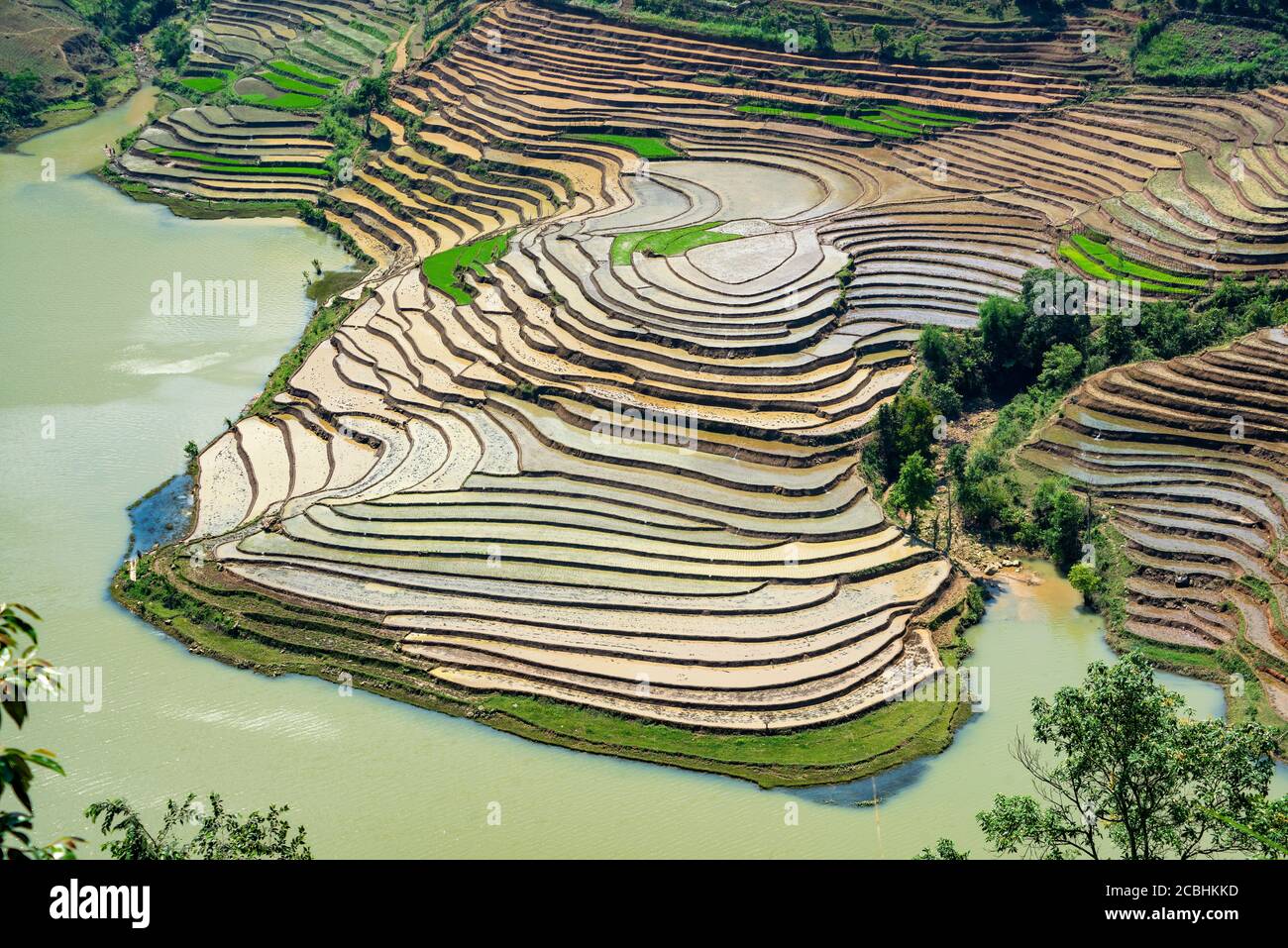 Schönheit der Reisterrassen in Muong Hum, Lao Cai, Vietnam Stockfoto