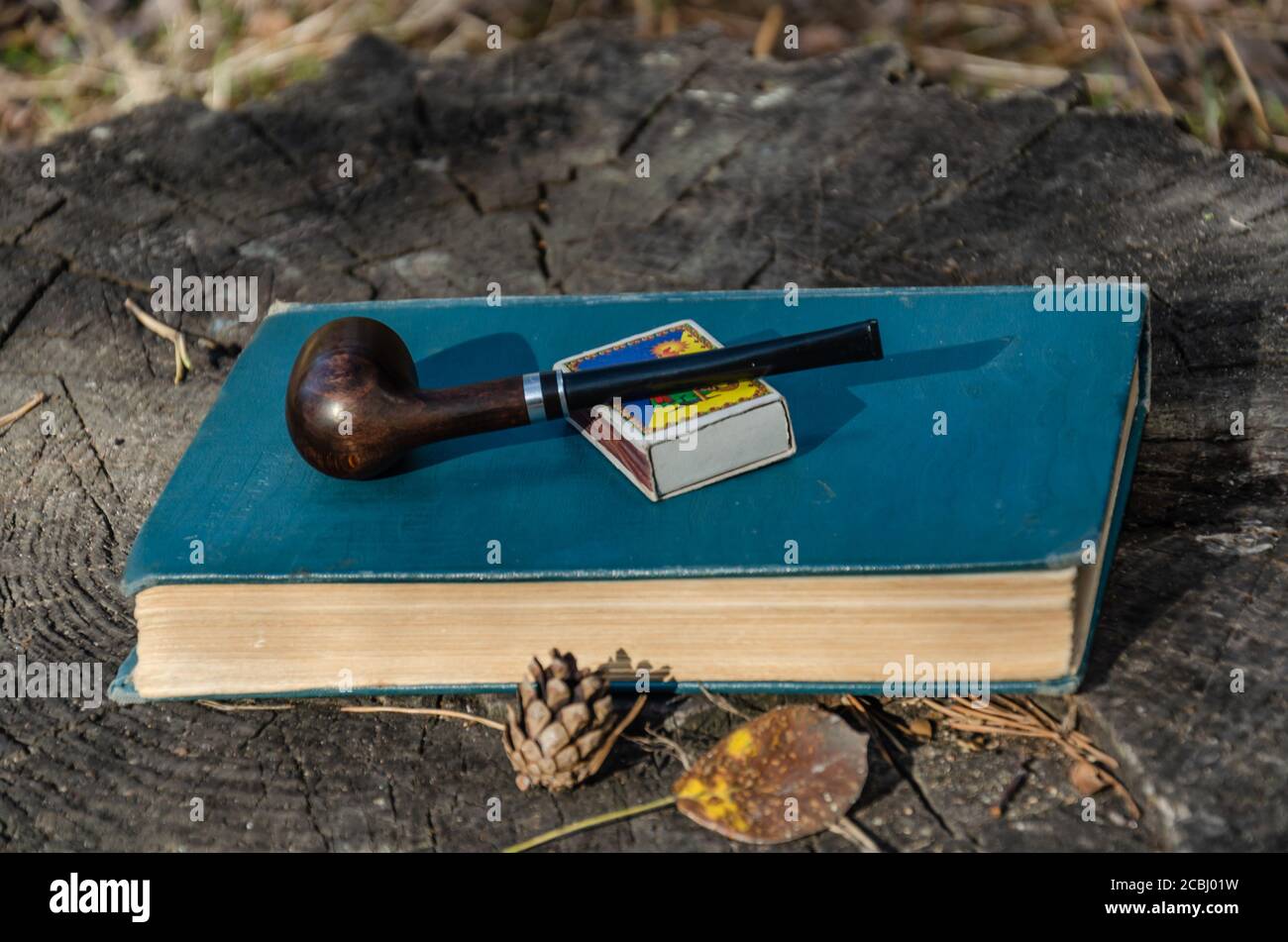 Ein Buch, eine Rauchpfeife und eine Streichholzschachtel auf einem Baumstumpf in einem Herbstwald oder Park. Nahaufnahme Stockfoto