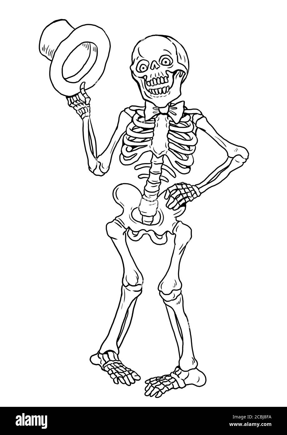 Lustiges menschliches Skelett. Halloween-Zeichnung. Farbvorlage. Stockfoto