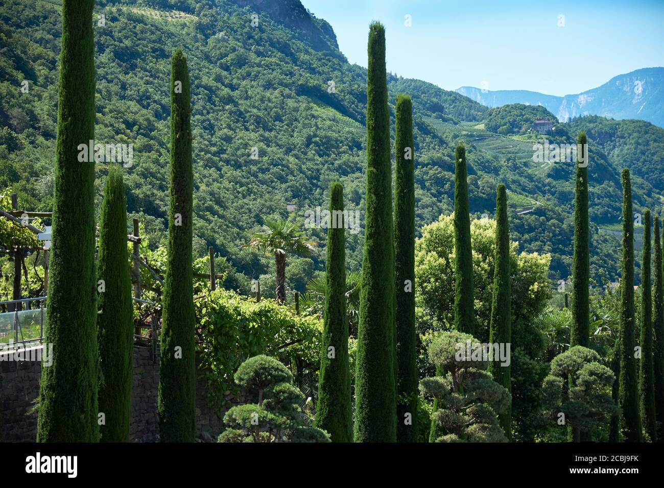Botanischer Garten von Schloss Trauttmansdorff, Schenna, Meran, Südtirol Stockfoto