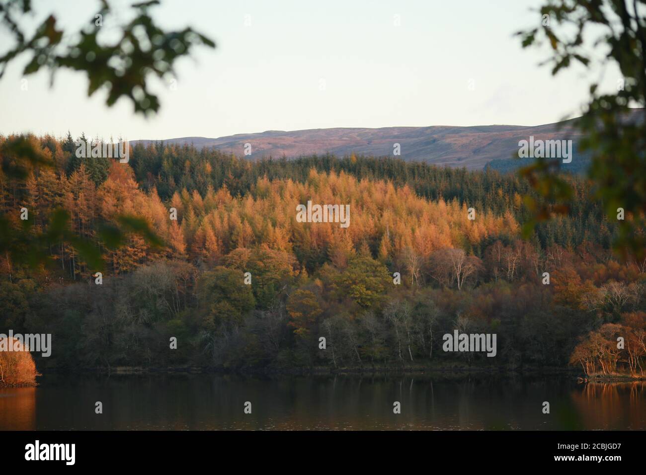 Herbstfarbe über einem Loch in Schottland. Stockfoto