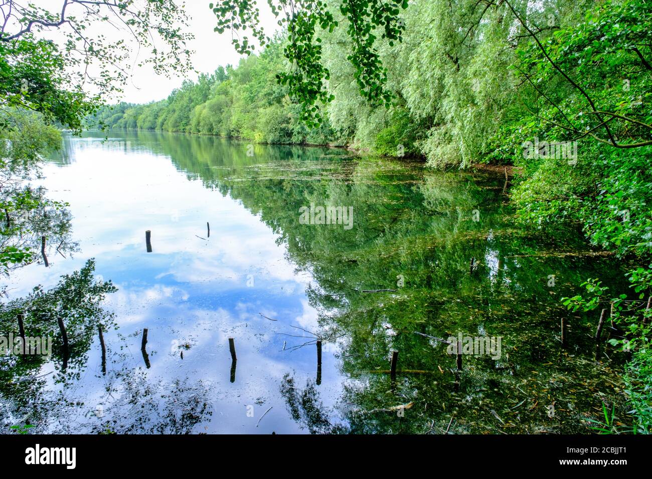 Clifton Country Park, Salford, Greater Manchester, Großbritannien, im Sommer Stockfoto