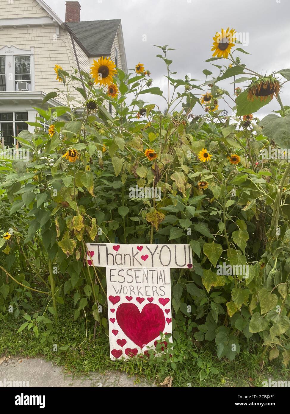 Hausbesitzer zeigen ihre Wertschätzung in ihrem Vorgarten für "wesentliche Arbeiter" während der Covid-19 Pandemie in einer Wohnstraße in Brooklyn, New York. Stockfoto