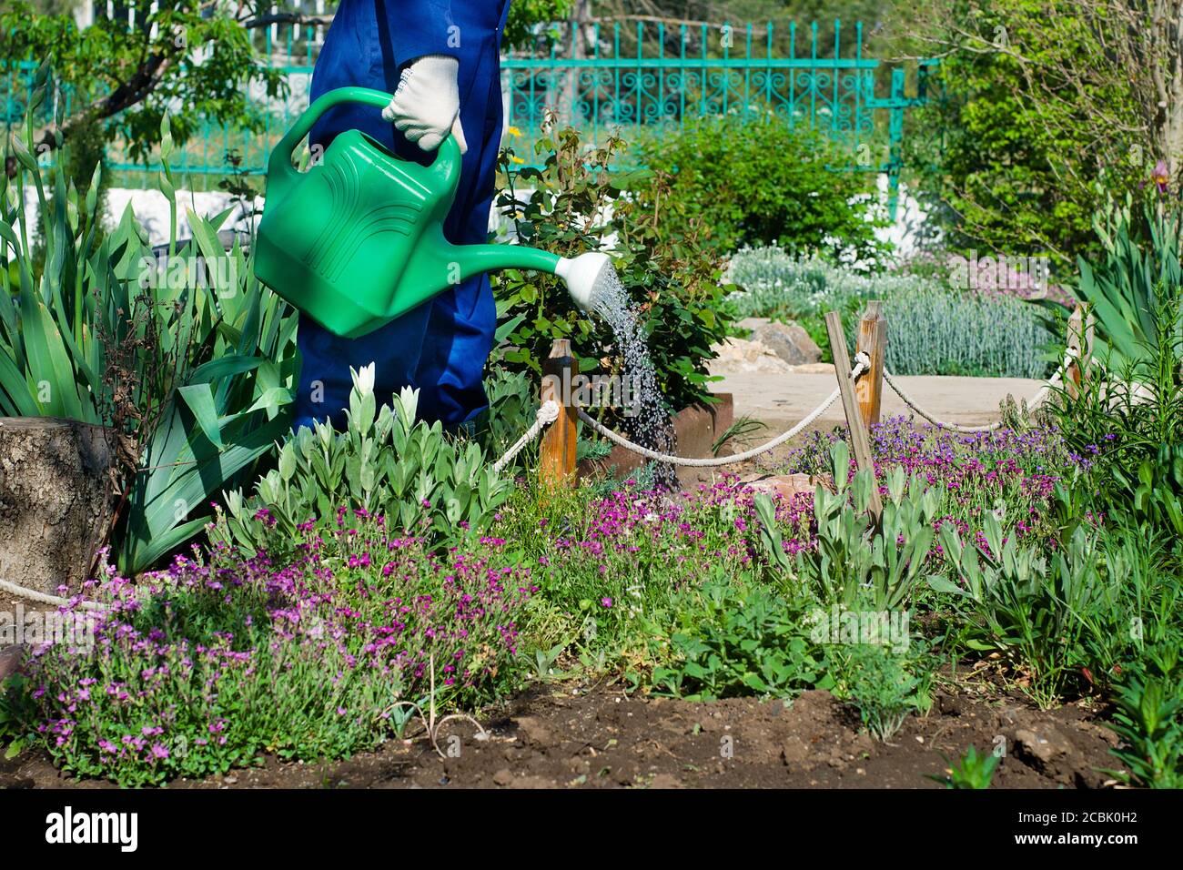 Gärtnerin blumen gießen Fotos und Bildmaterial in hoher Auflösung Alamy