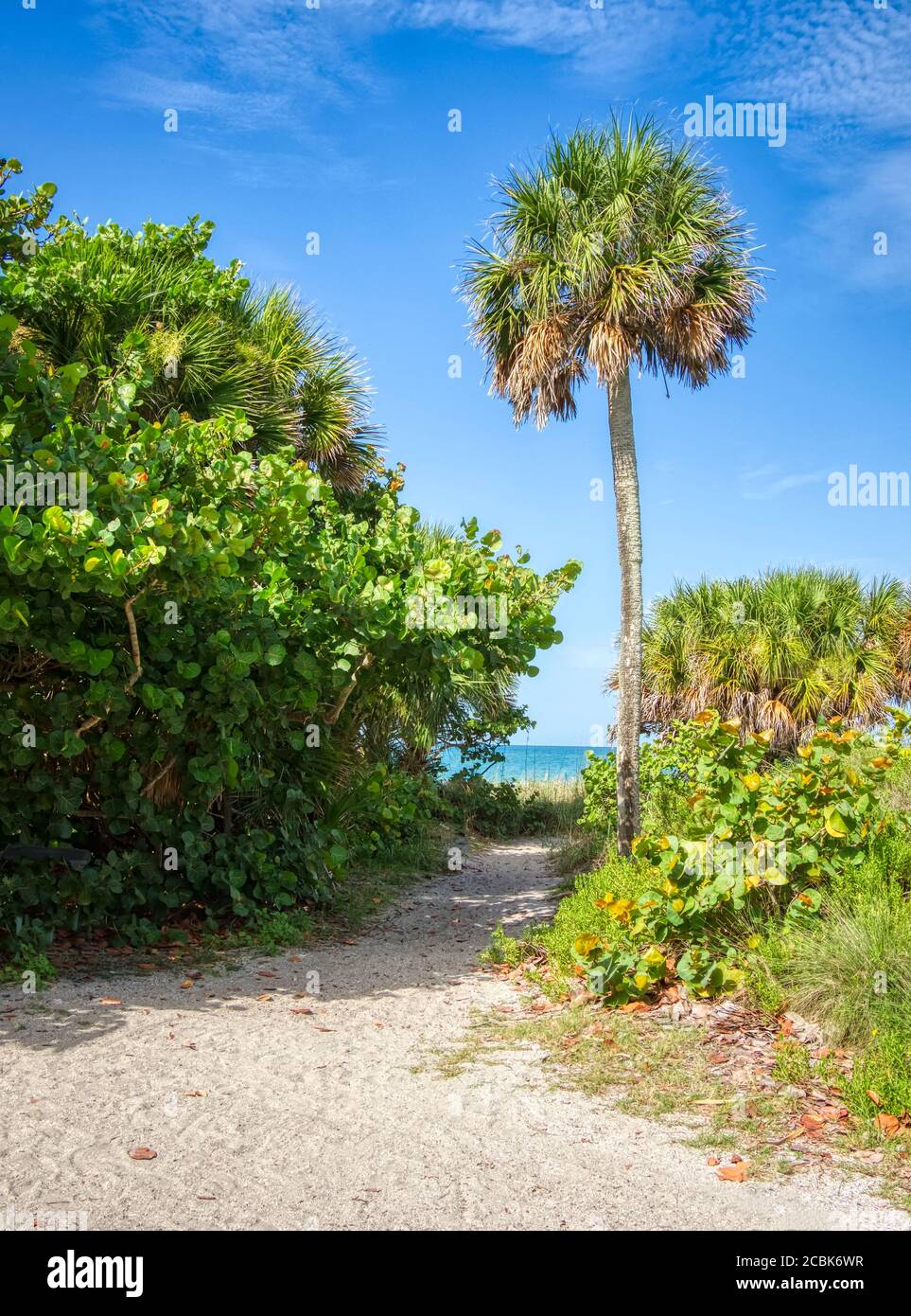 Pfad zum Manasota Beach am Golf von Mexiko weiter Manasota Key in Englewood Florida Vereinigte Staaten Stockfoto