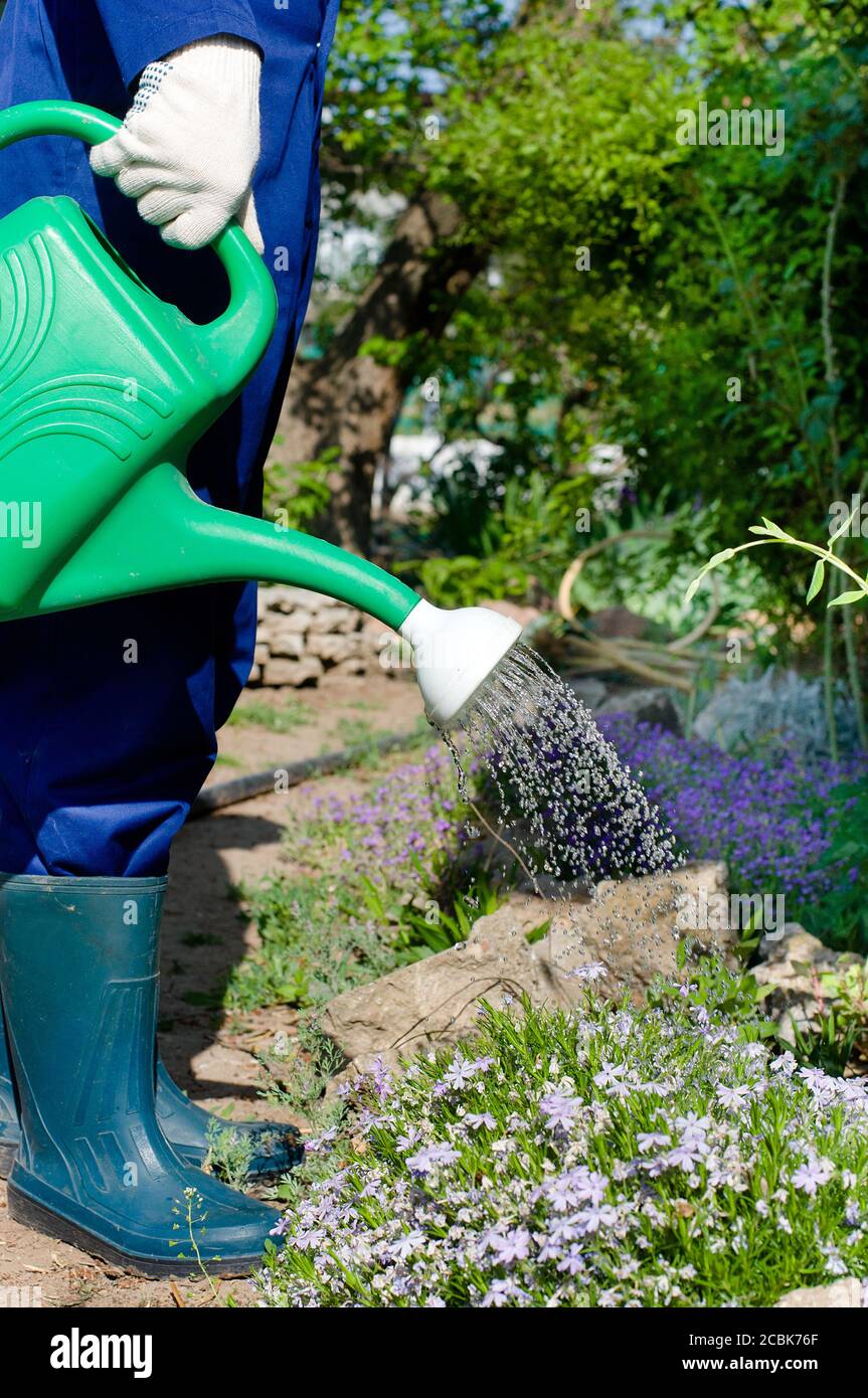 Gärtnerin blumen gießen Fotos und Bildmaterial in hoher Auflösung Alamy