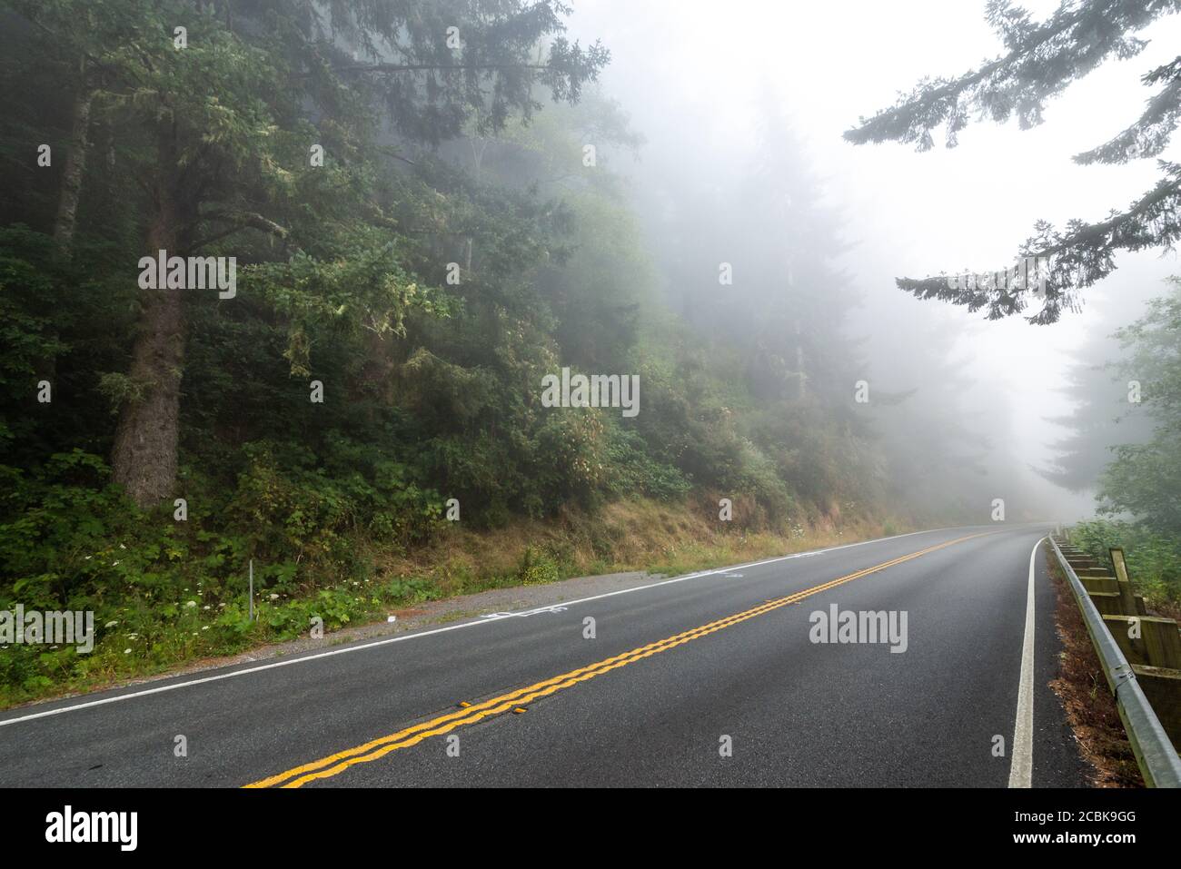Neblige Redwood Waldlandschaft, Humboldt County, Nordkalifornien Stockfoto