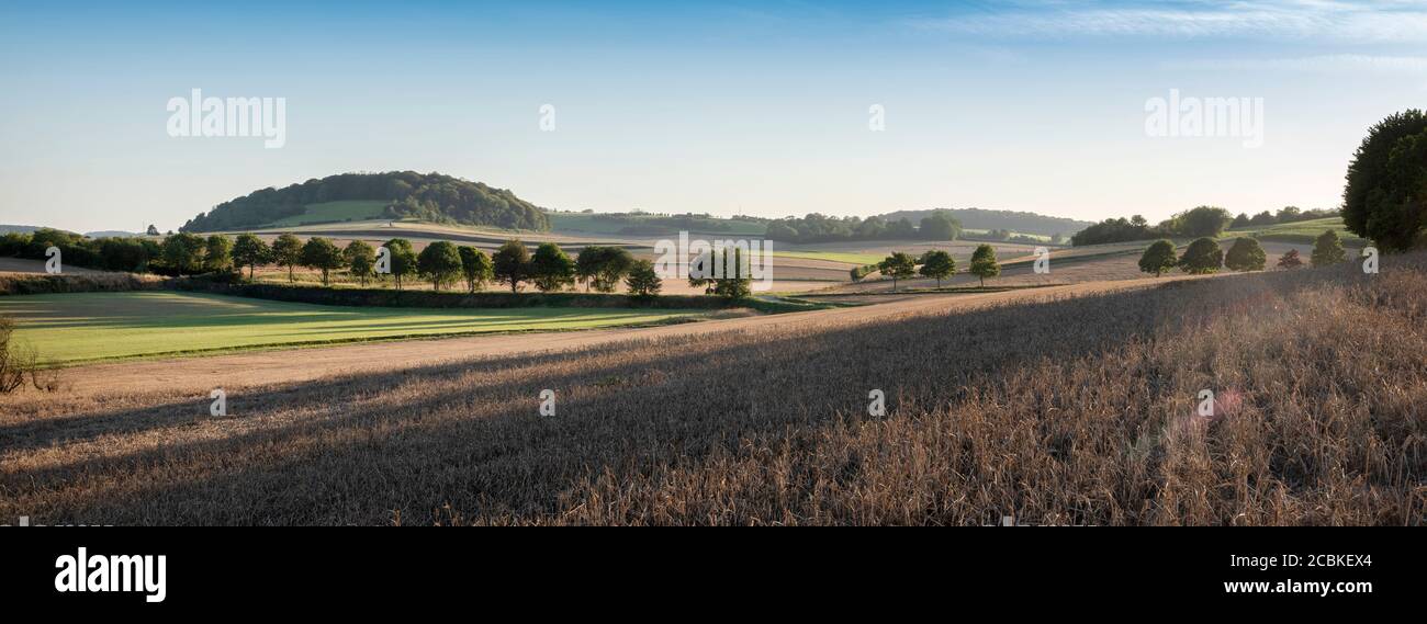 Landschaft mit Kornfeldern und Wiesen im regionalen Parc de Caps Et marais d'opale im Norden frankreichs Stockfoto