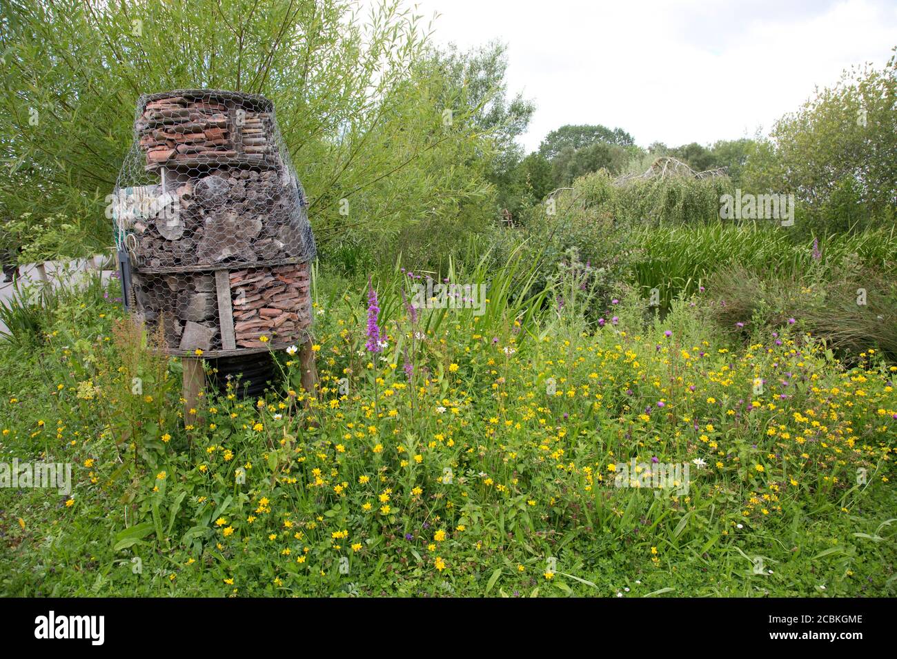 Großes Insektenhotel aus alten Lehmpfeifen, pastigem Korrugata-Rohr, Ziegel und Holz inmitten von Wildblumen im Wildflower und Wetland Trust, Slimbri Stockfoto