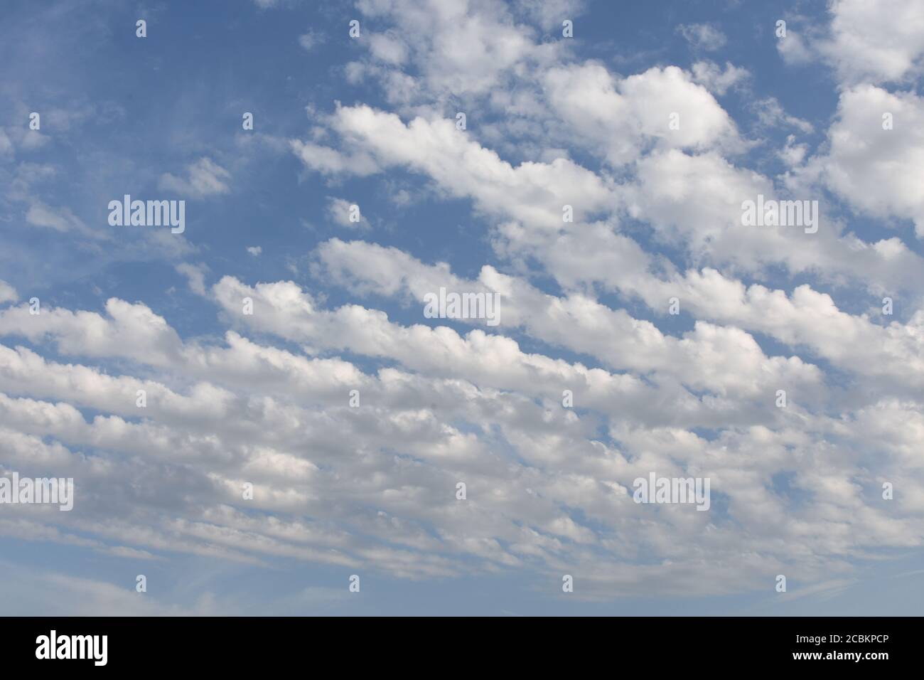 Azurblauer Himmel mit weißen Zirrocumulus und Alto Cumulus Wollpacks oder Haufenwolken an sonnigen Sommertagen über der Schweizer Landschaft. Stockfoto