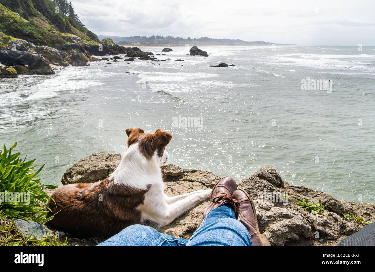 Entspannen mit einem Hund über dem Meer in Nordkalifornien Stockfoto