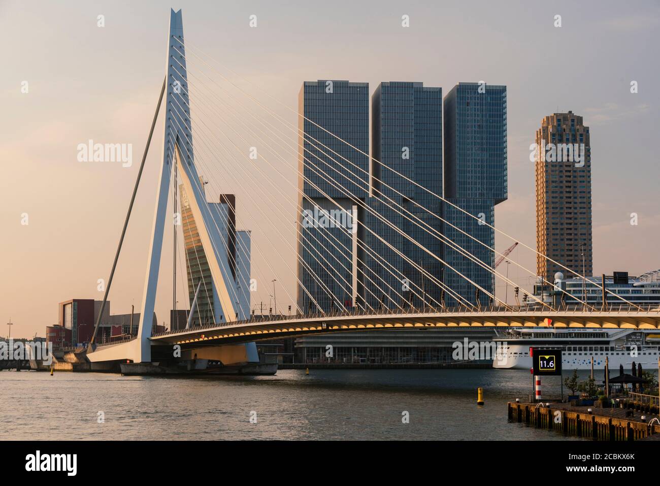Erasmus-Brücke, Rotterdam, Niederlande Stockfoto